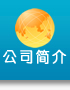公司简介